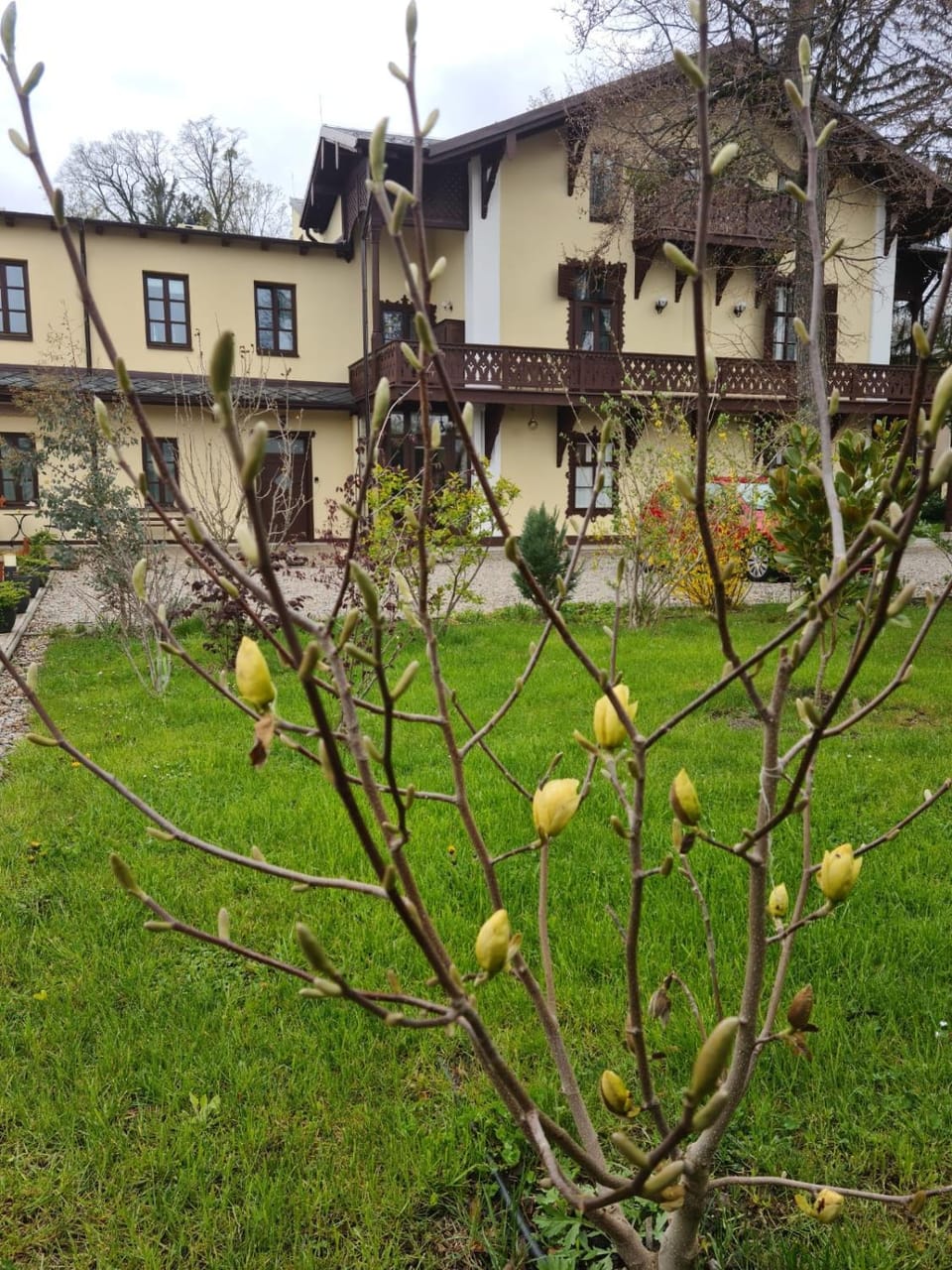 Villa Musik - historical apartments, Baden Apartment in Hungary