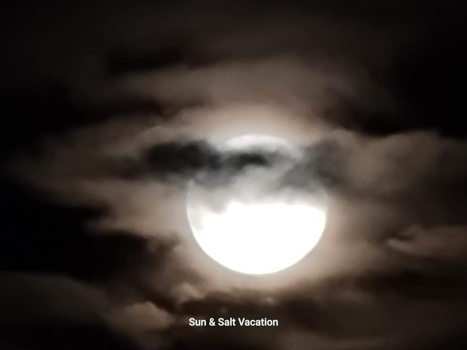 Night, Text overlay