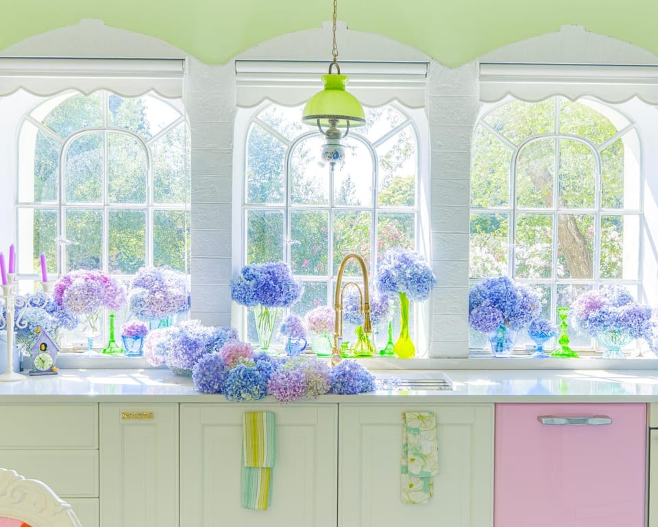 Communal kitchen