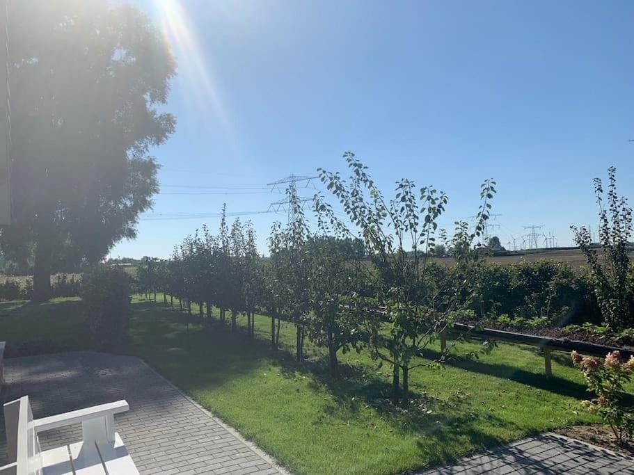 Vakantiehuis Hollestelle House in Zeeland, Netherlands