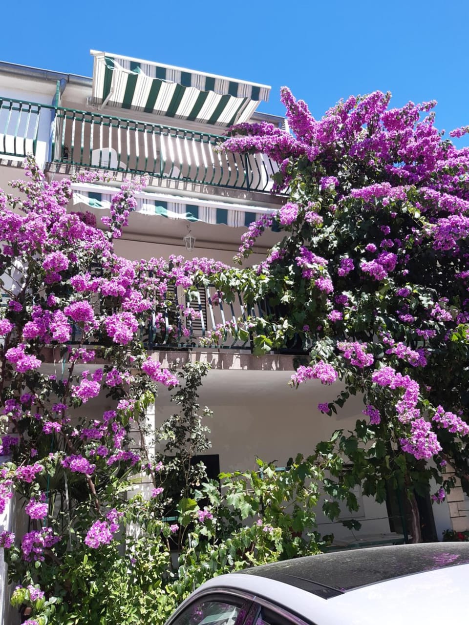 Spring, Garden view