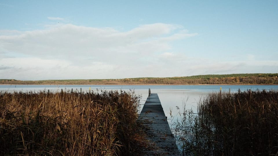 Lake view