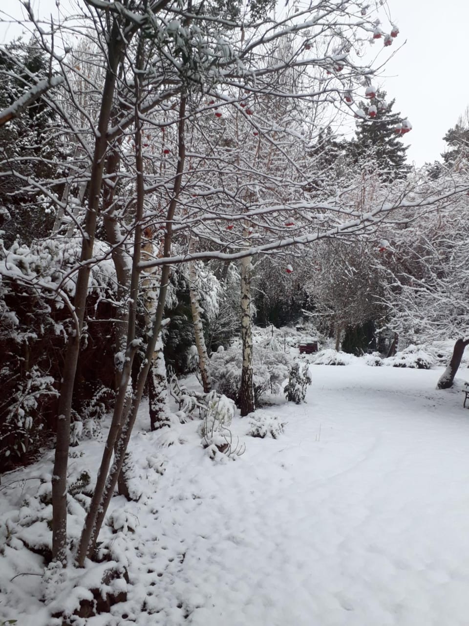 Winter, Garden
