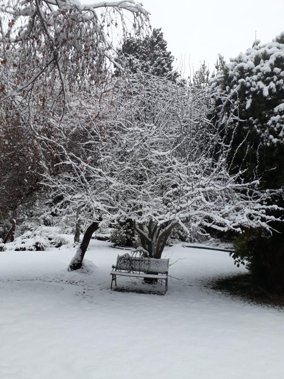 Natural landscape, Winter