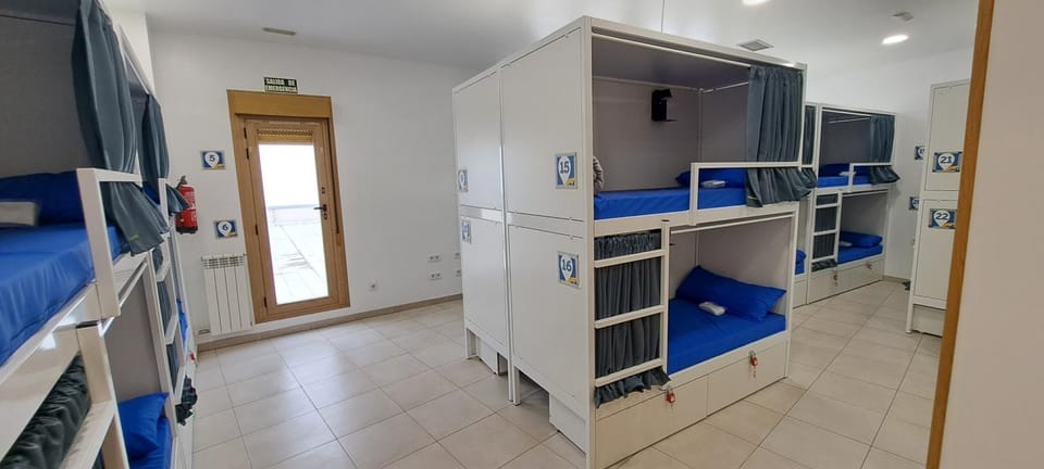 Bed, Photo of the whole room, Bedroom, bunk bed