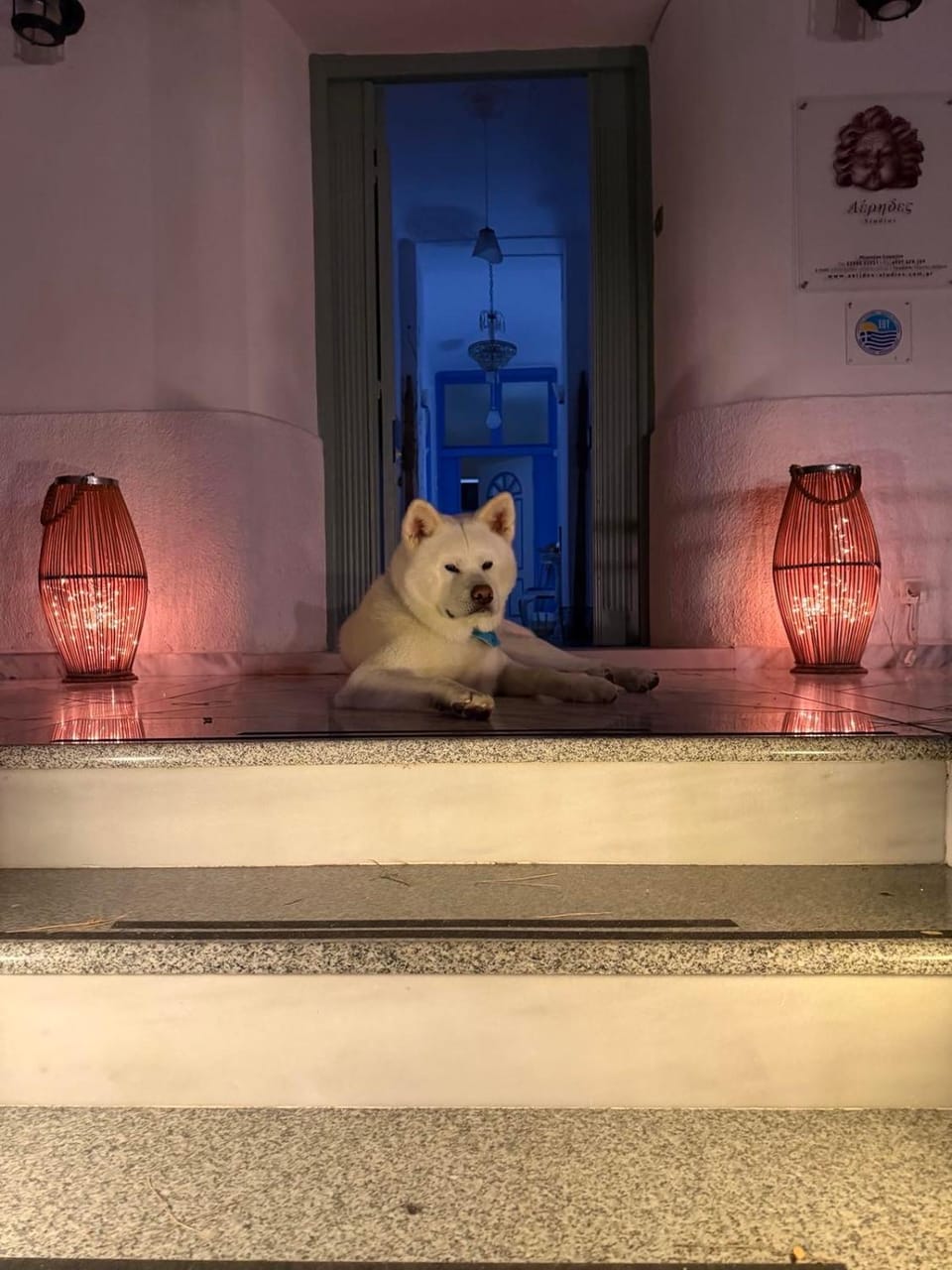 Aerides Studios Bed and Breakfast in Argolis, Greece