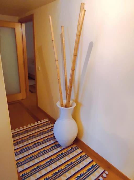 Ocean View Apartment in Porto District