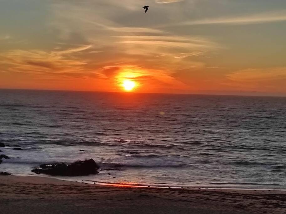 Ocean View Apartment in Porto District