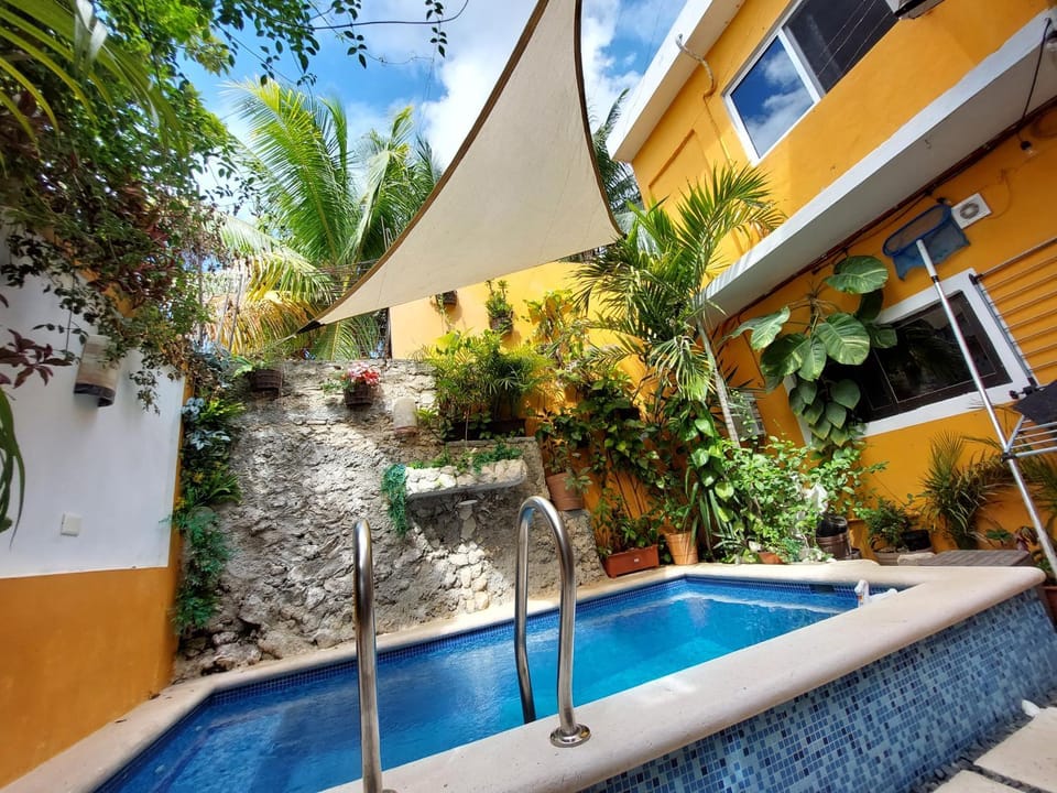 Patio, Garden view, Pool view, Swimming pool