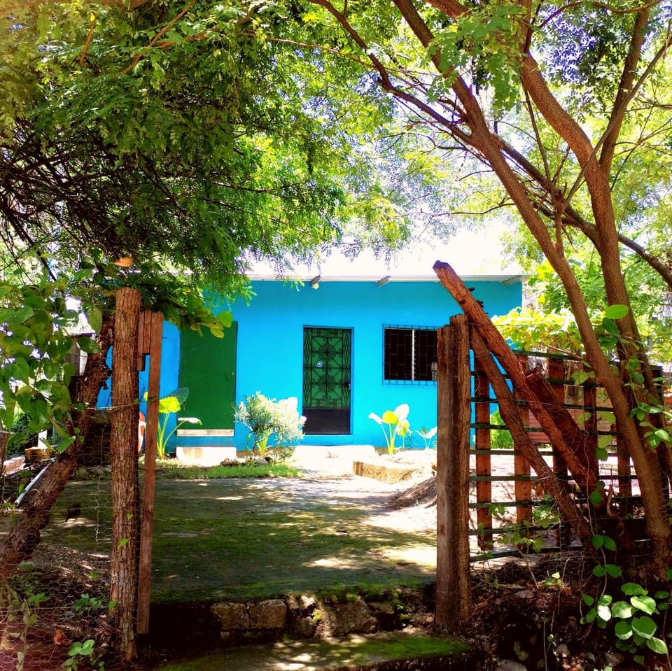 Garden view