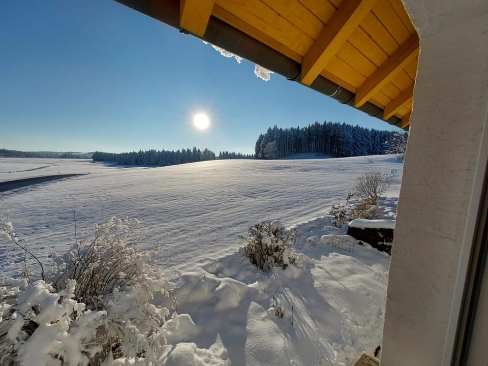 Day, Natural landscape, Winter