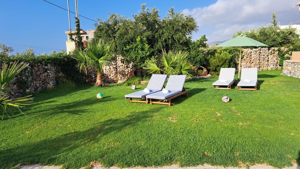 Garden, Garden view, sunbed