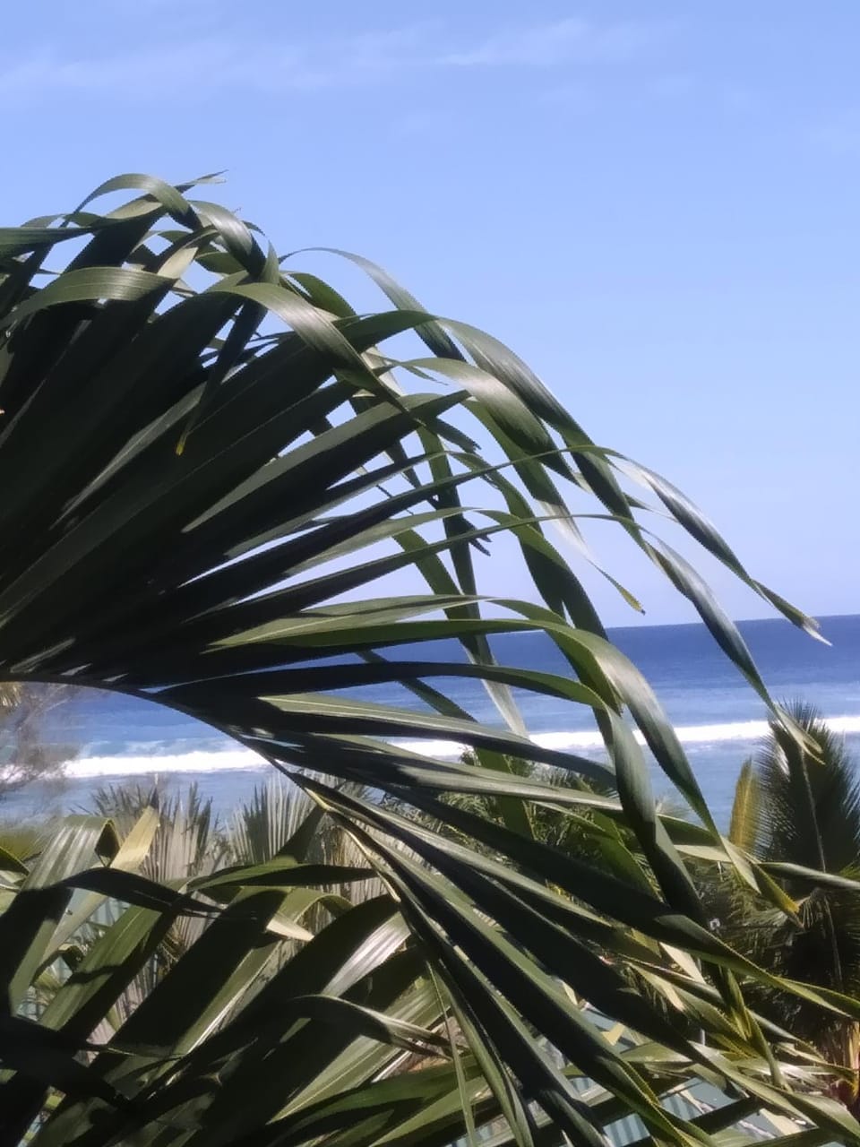 Day, Natural landscape, Sea view