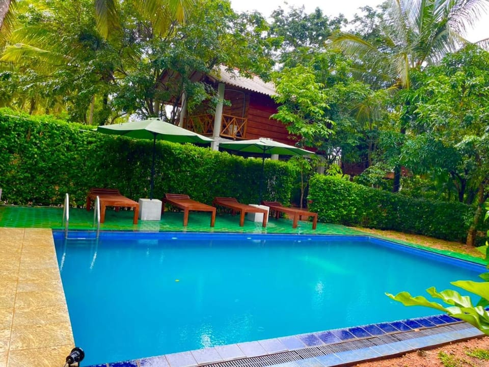 Property building, Spring, Day, Garden, Garden view, Swimming pool, sunbed