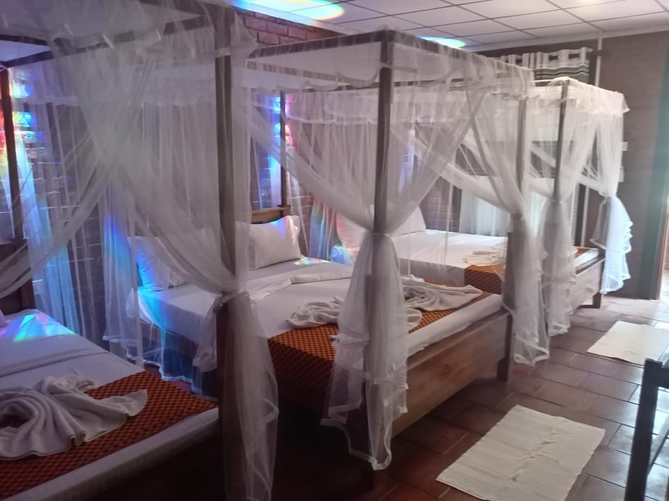 Bed, Photo of the whole room, Bedroom, bunk bed, towels