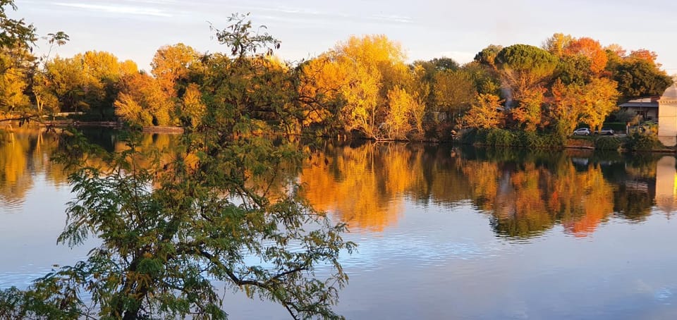Natural landscape
