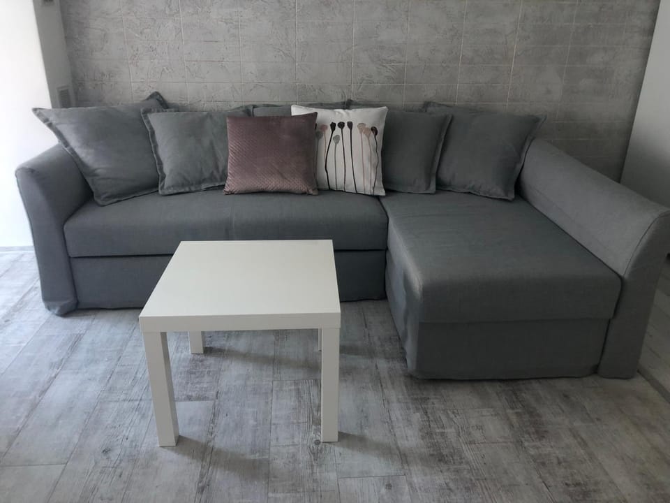 Cozy and modern apartment Krasno selo, free parking Apartment in Sofia