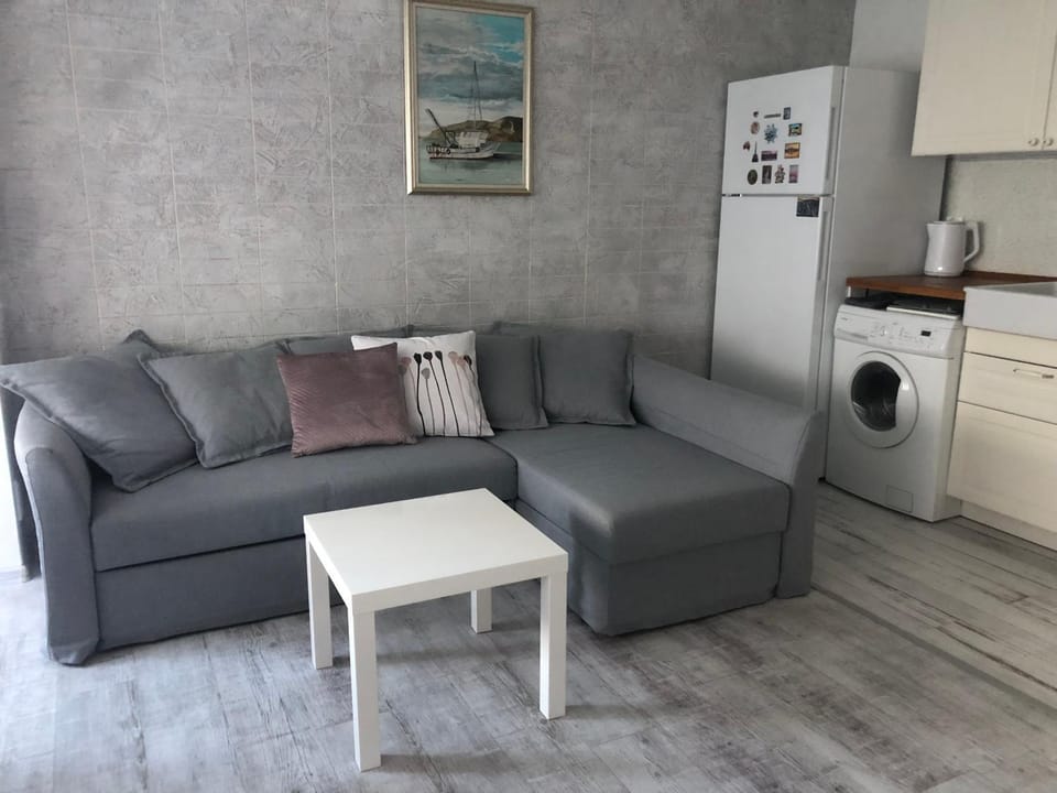 Cozy and modern apartment Krasno selo, free parking Apartment in Sofia