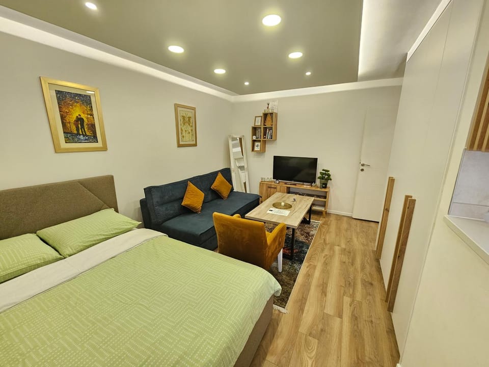 Bed, TV and multimedia, Living room, Photo of the whole room, Seating area, Bedroom