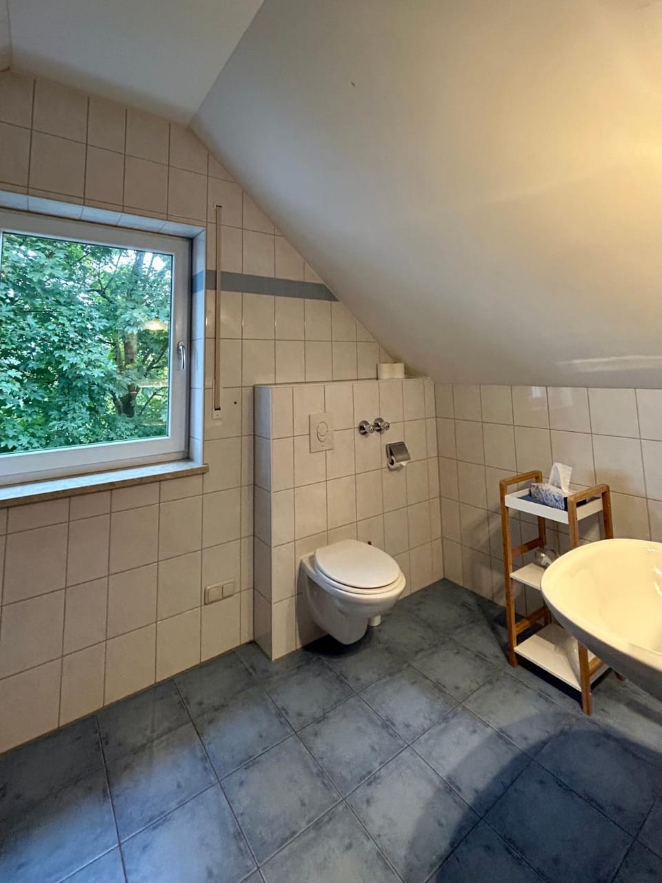 Toilet, Bathroom