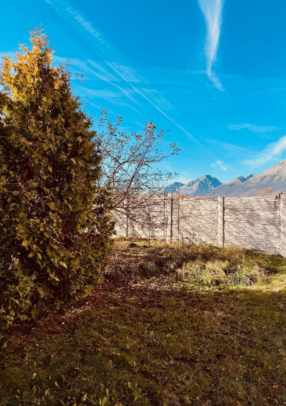 Mountain view