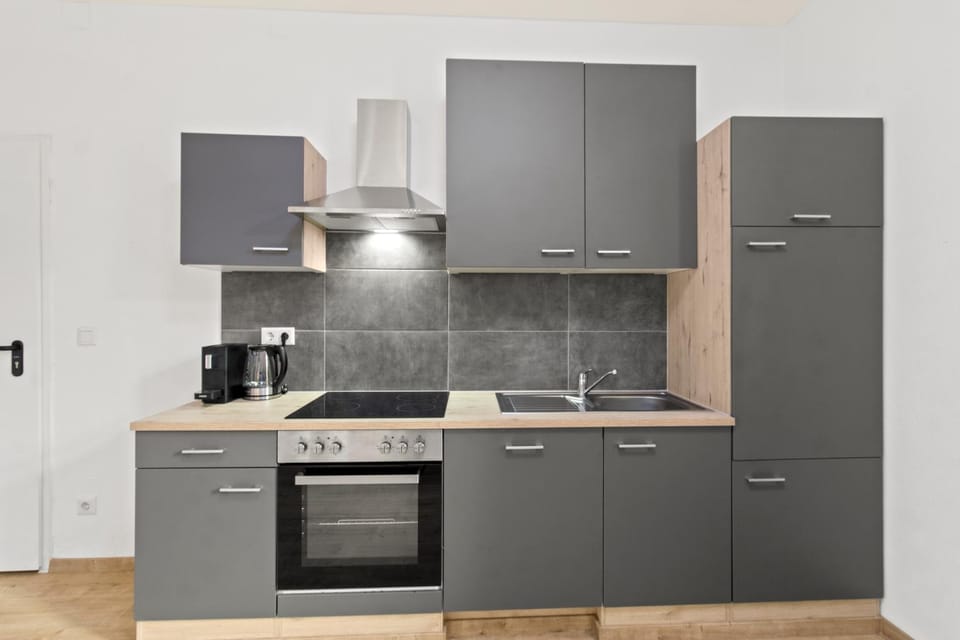 Kitchen or kitchenette, dishwasher, minibar, pet friendly, stove