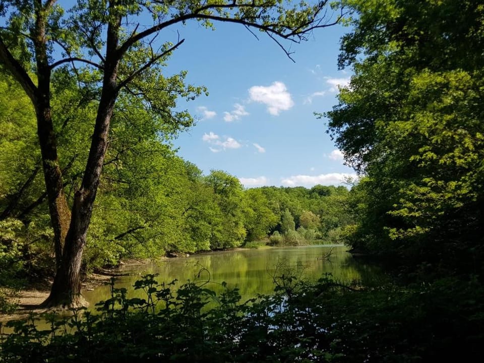 Natural landscape, River view