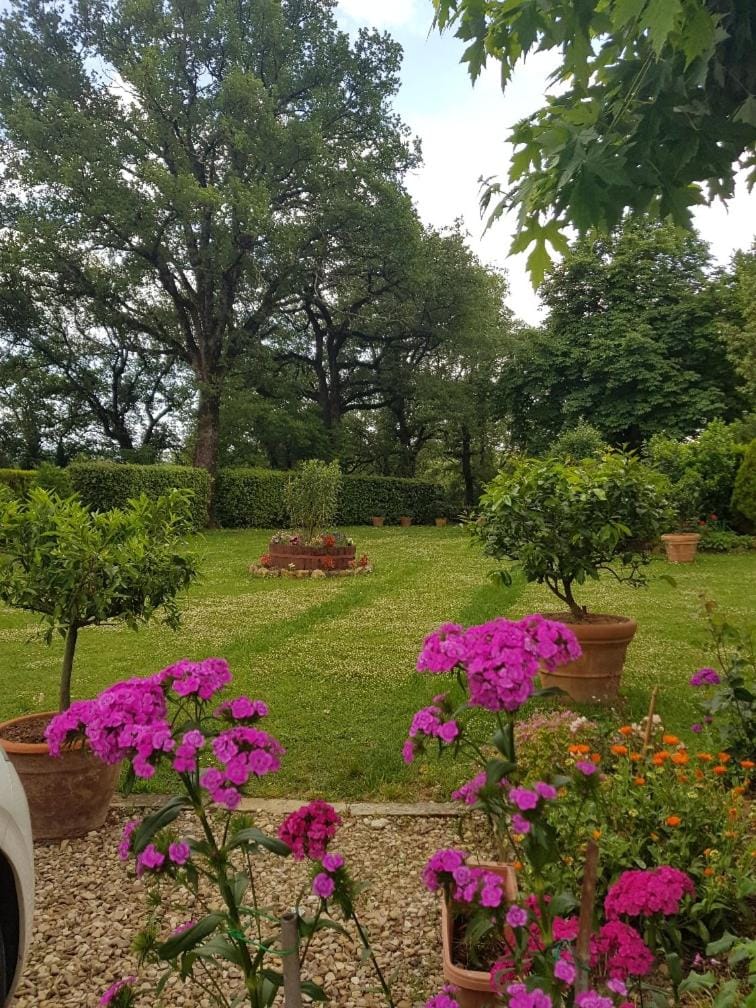 Spring, Natural landscape, Garden view