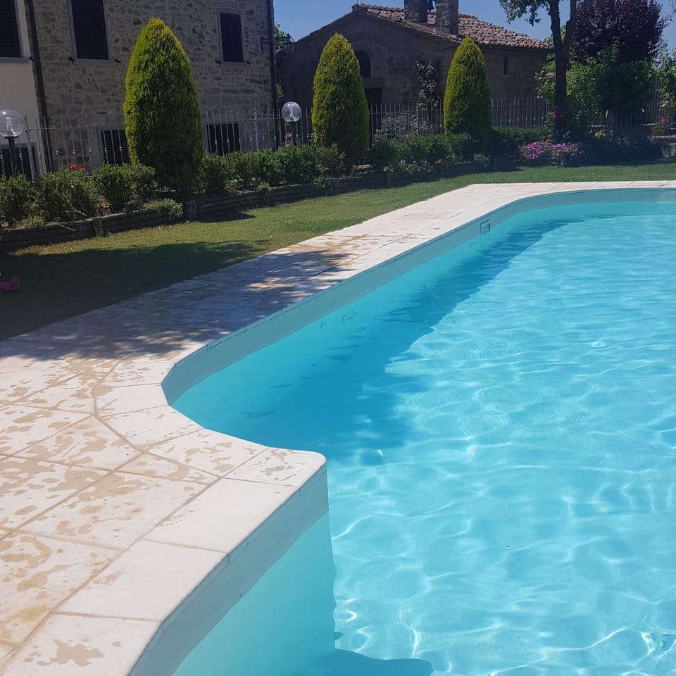 Swimming pool, Swimming pool