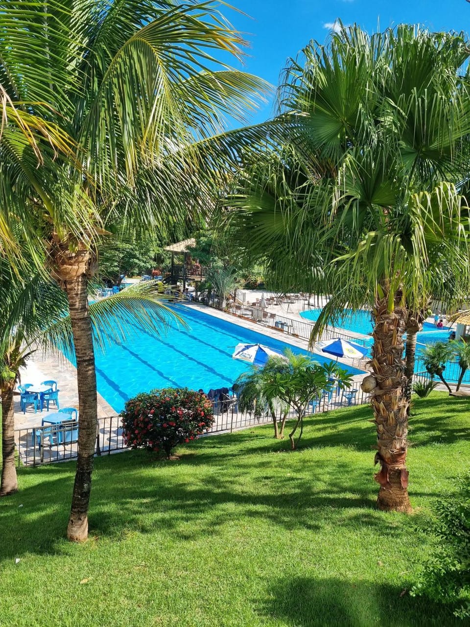 Natural landscape, Garden, Aqua park, Pool view, Swimming pool, Swimming pool