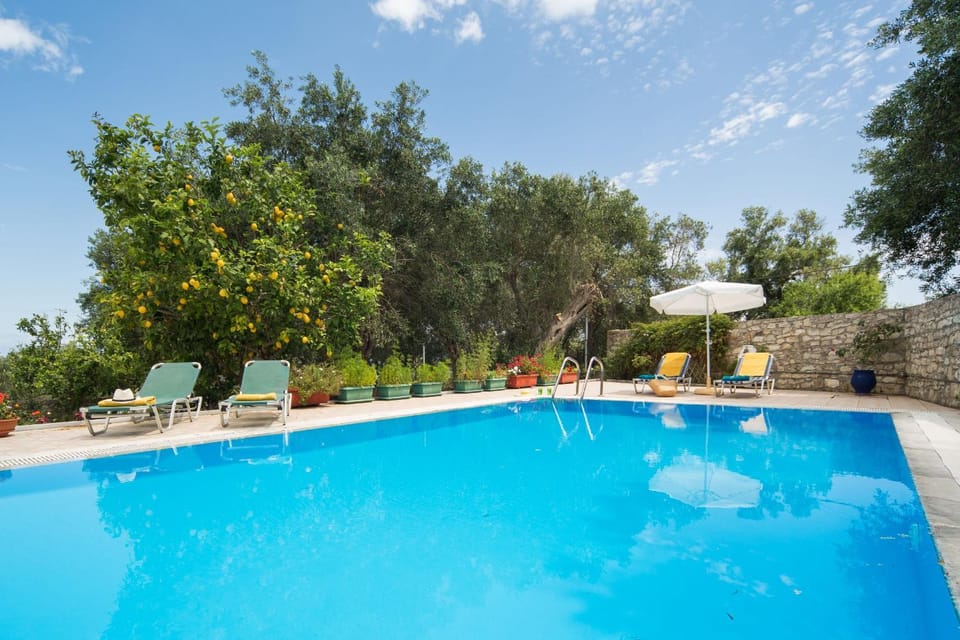 Spring, Day, Garden, Garden view, Pool view, Swimming pool, sunbed