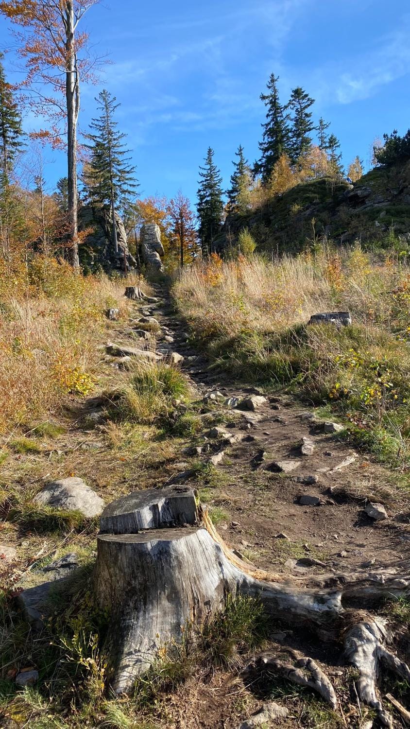 Hiking