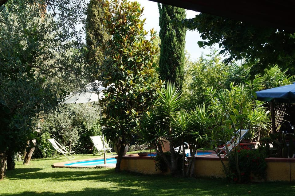 Garden view