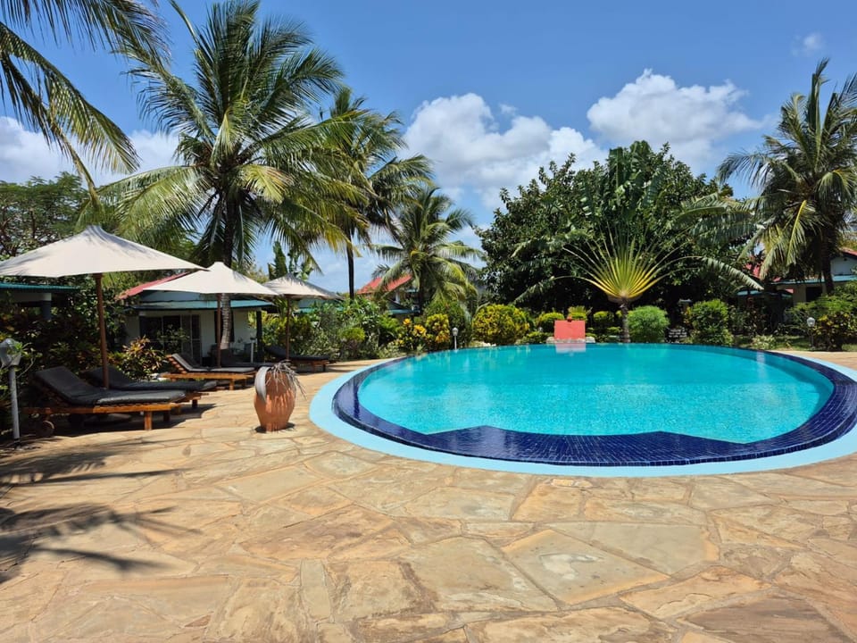 Garden, Swimming pool
