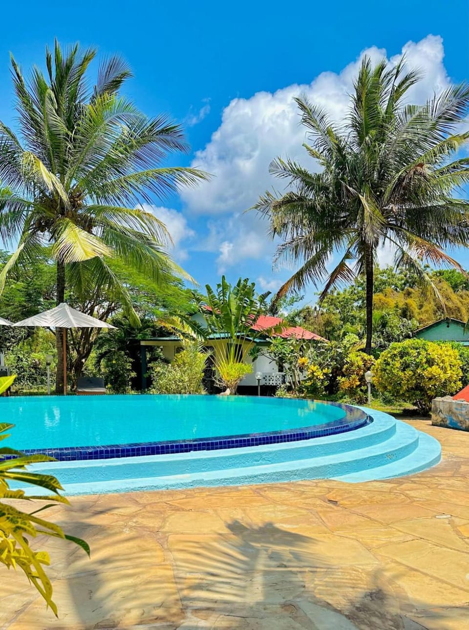 Natural landscape, Garden view, Swimming pool