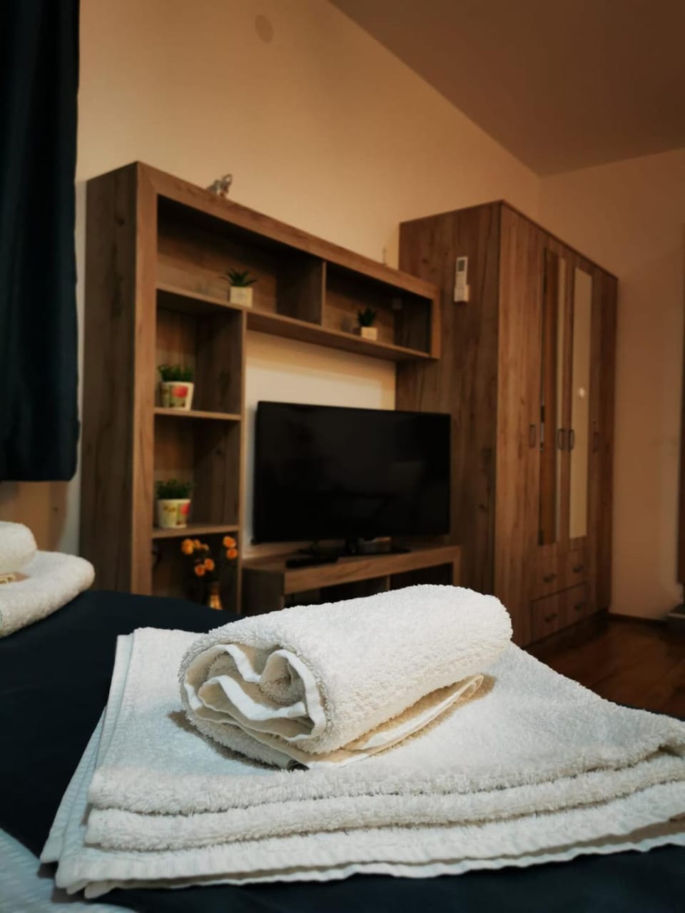 SokoStar Lux Apartment in Serbia