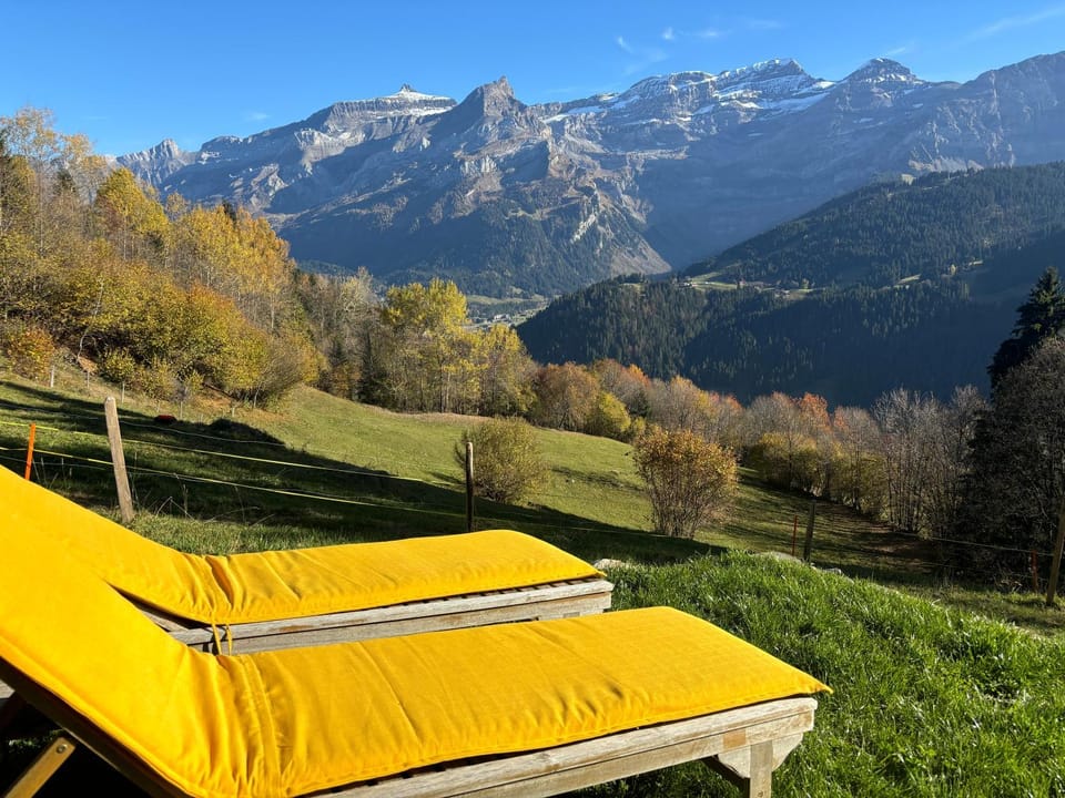 Spring, Day, Natural landscape, sunbed