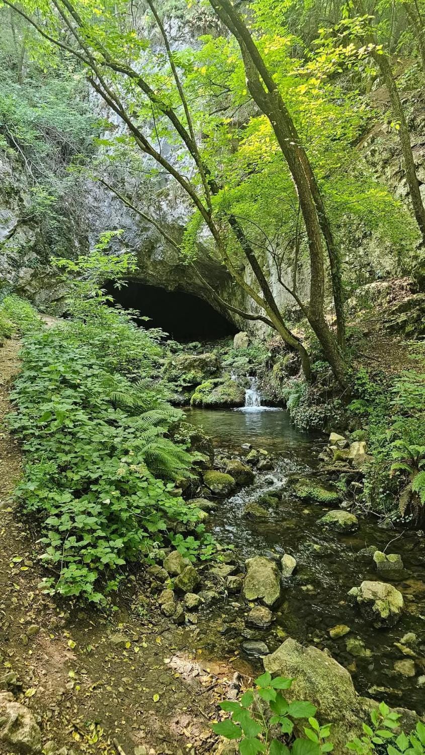 Nearby landmark, Natural landscape