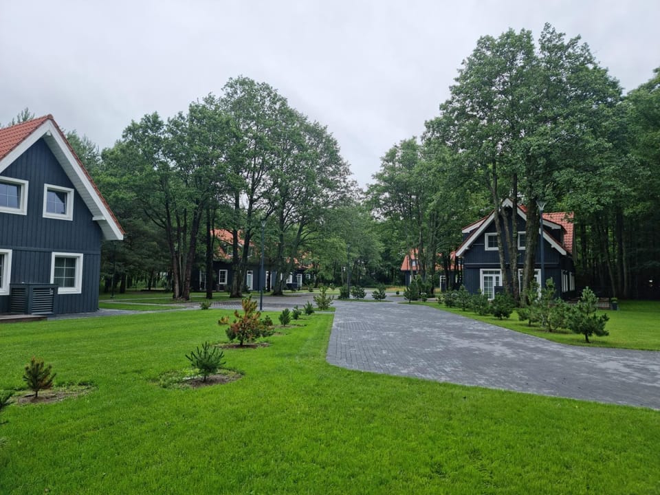 Natural landscape, Garden, Garden view