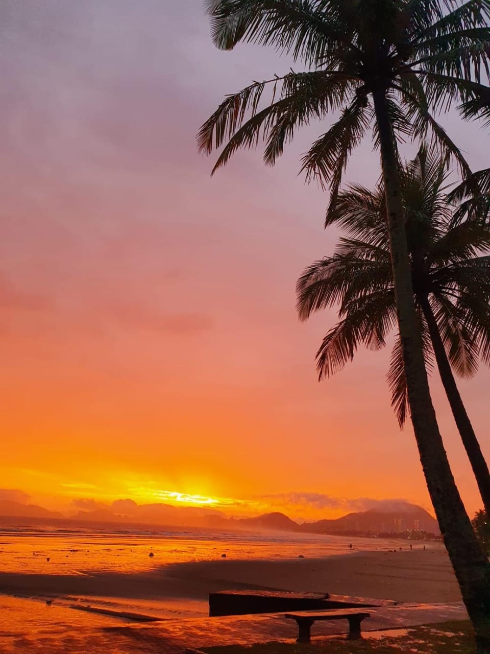 Beach, Sunset
