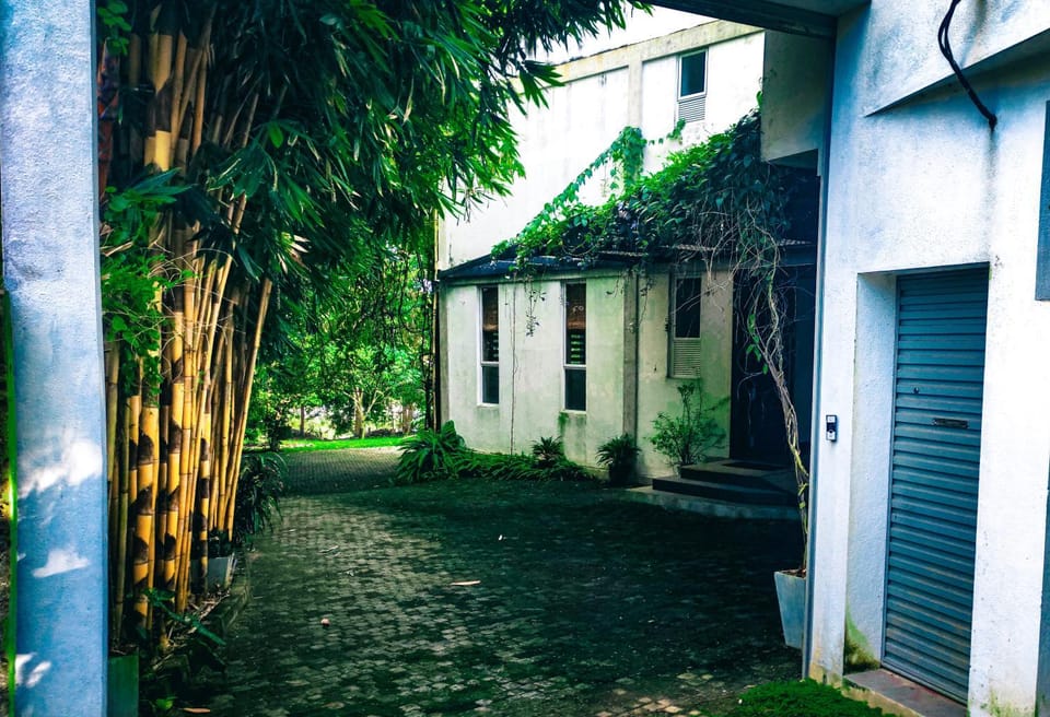 Property building, Facade/entrance, Day, Garden, Garden view