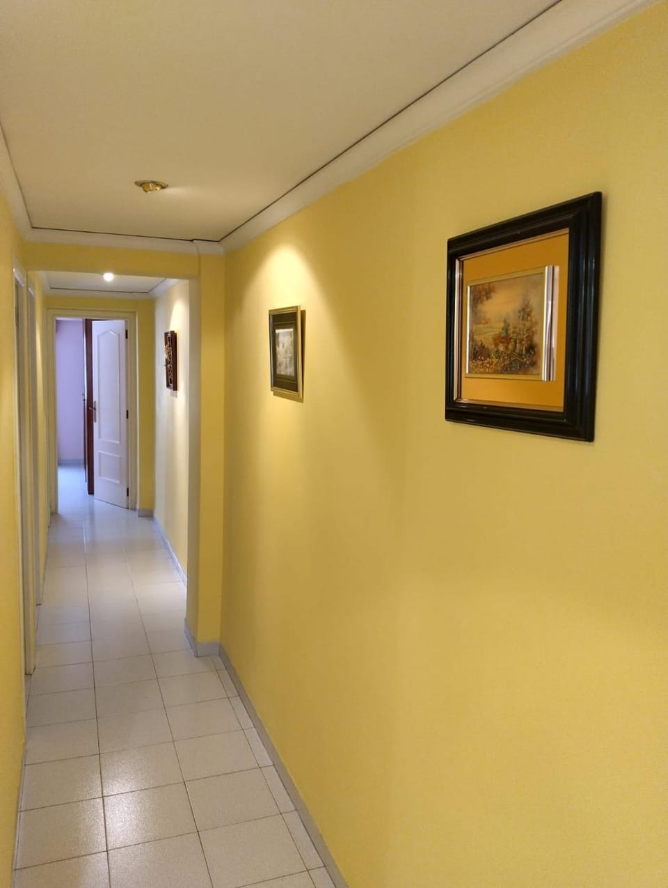 La Rose Apartment in Gandia