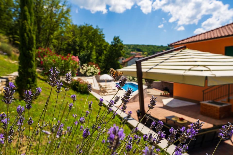 Apartment Ana with private pool Apartment in Split-Dalmatia County