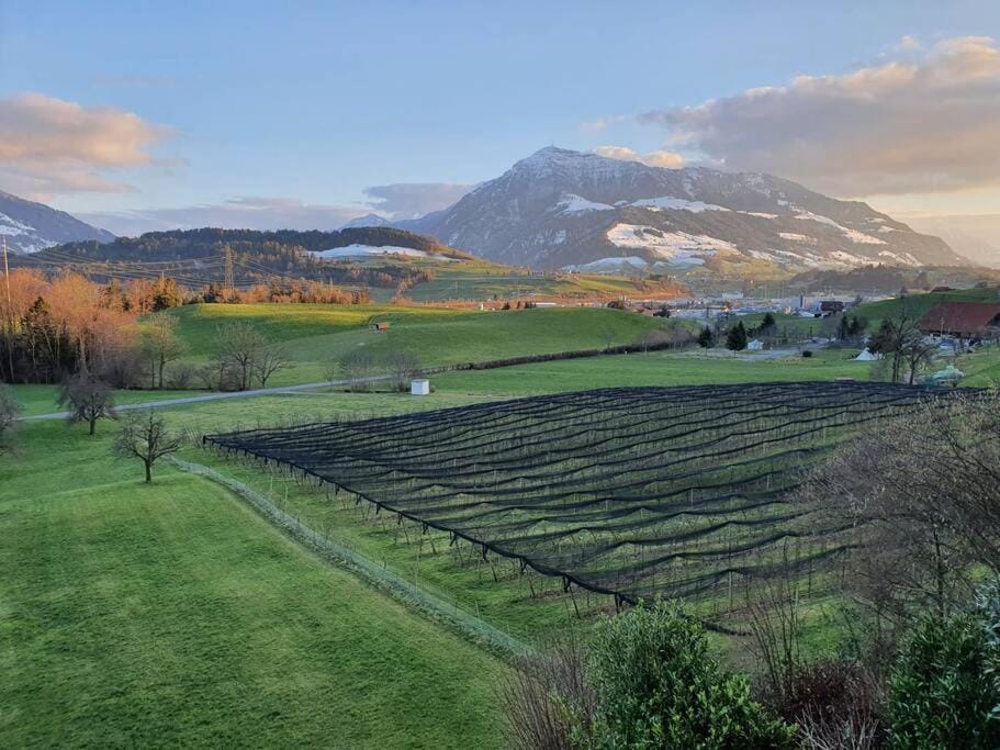 Apartment in Swiss Chalet Träumli Apartment in Zug, Switzerland