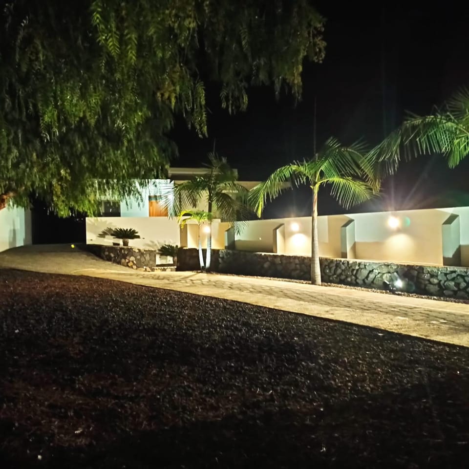 Night, Garden