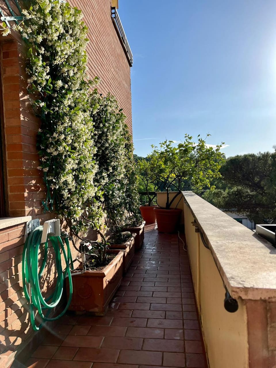 Garden view