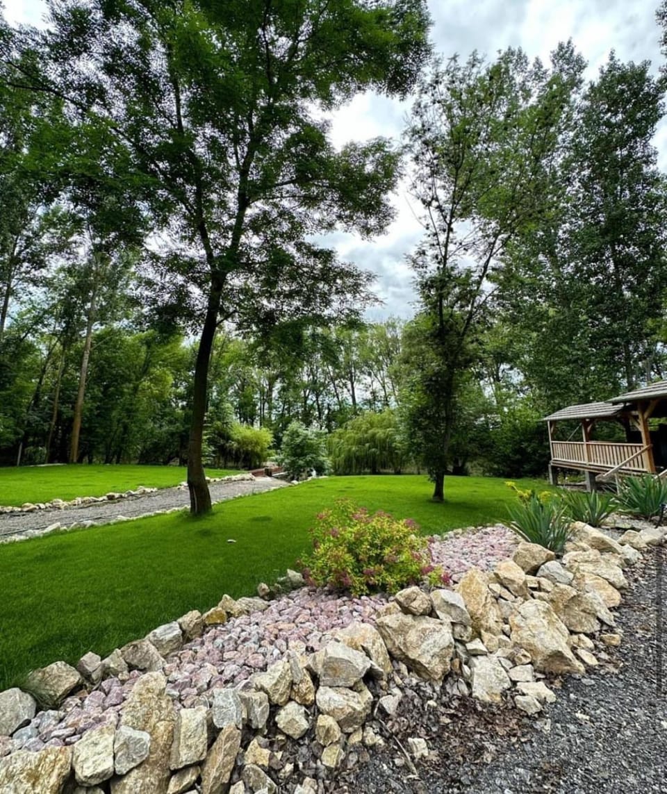 Natural landscape, Garden view