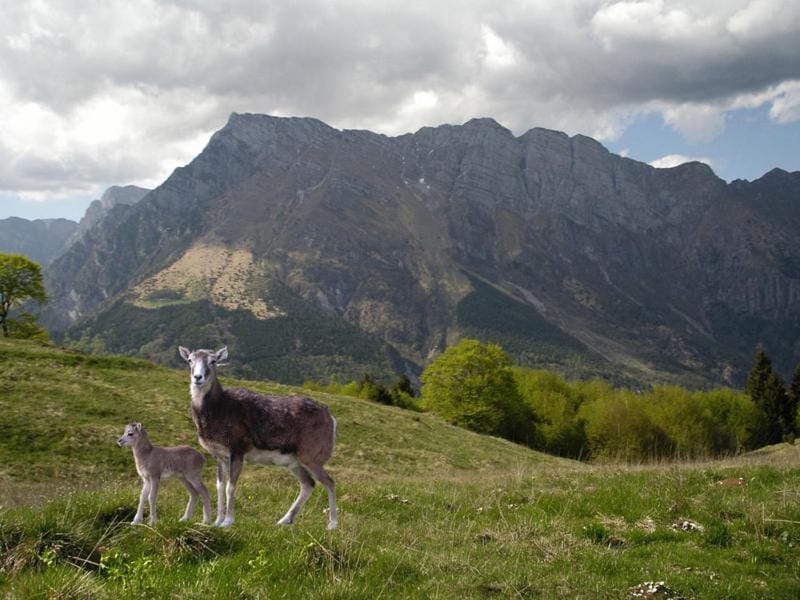 Natural landscape, Hiking