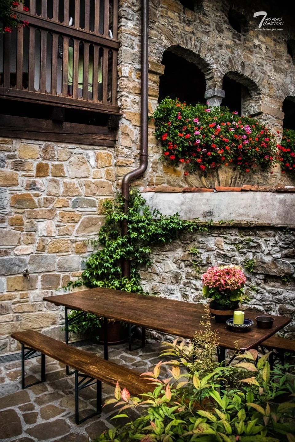 Garden view