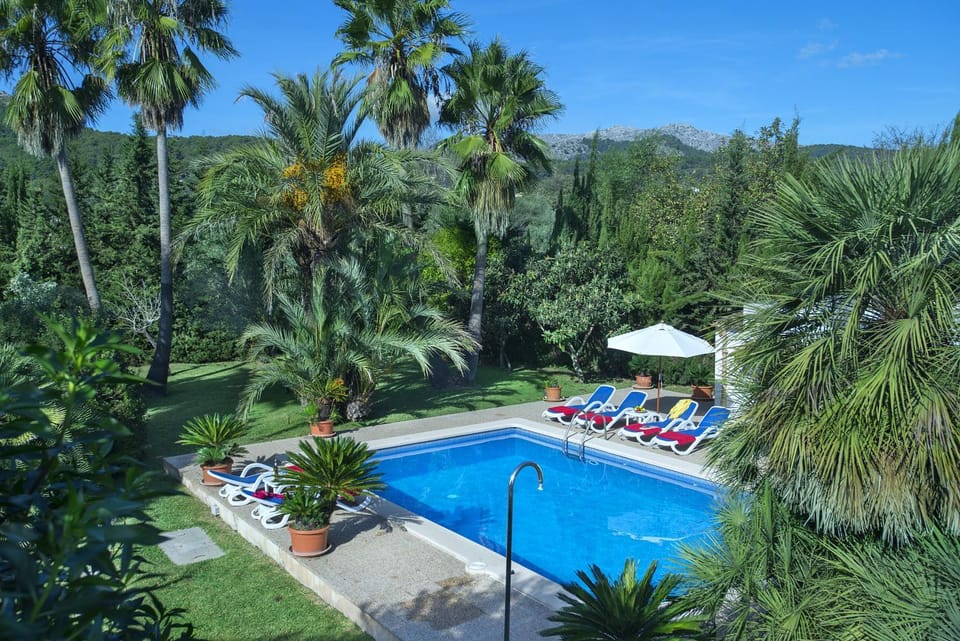 Patio, Garden, Garden view